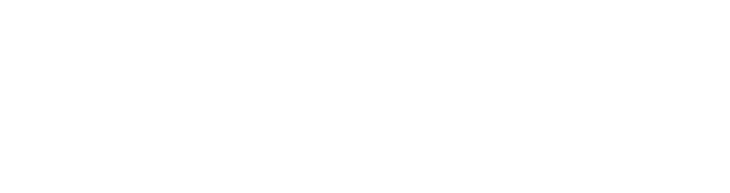 MinervaHub - Partner of Excellence